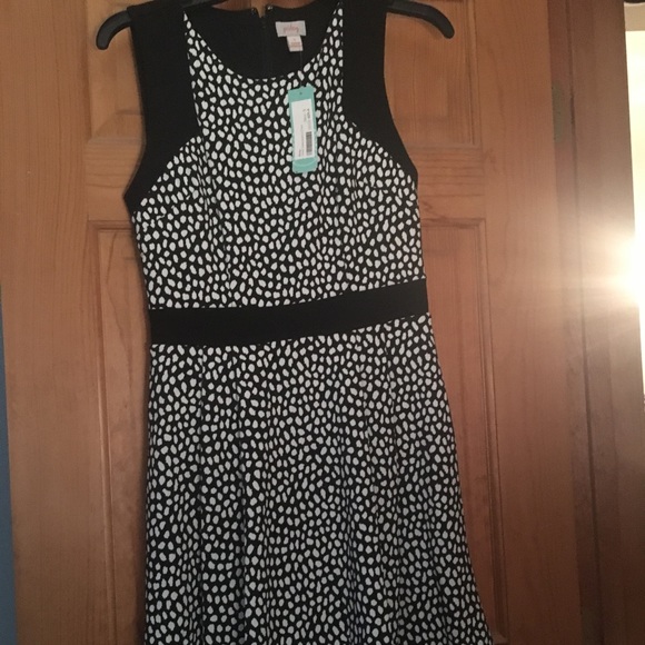 Pixley Dresses & Skirts - Pixley Devyn textured knit dress NWT